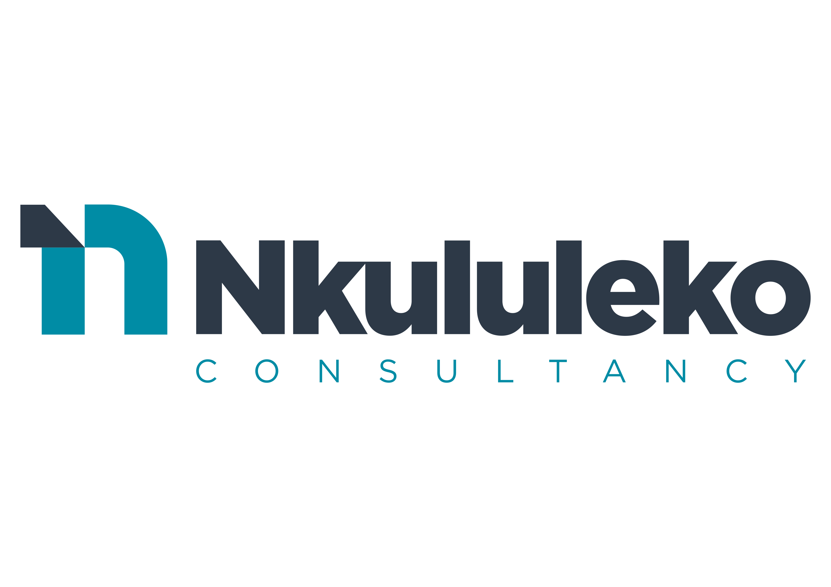 Nkululeko Consultancy B.V. - Project Management Consultancy